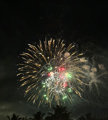 Neujahrsgruß 2024!